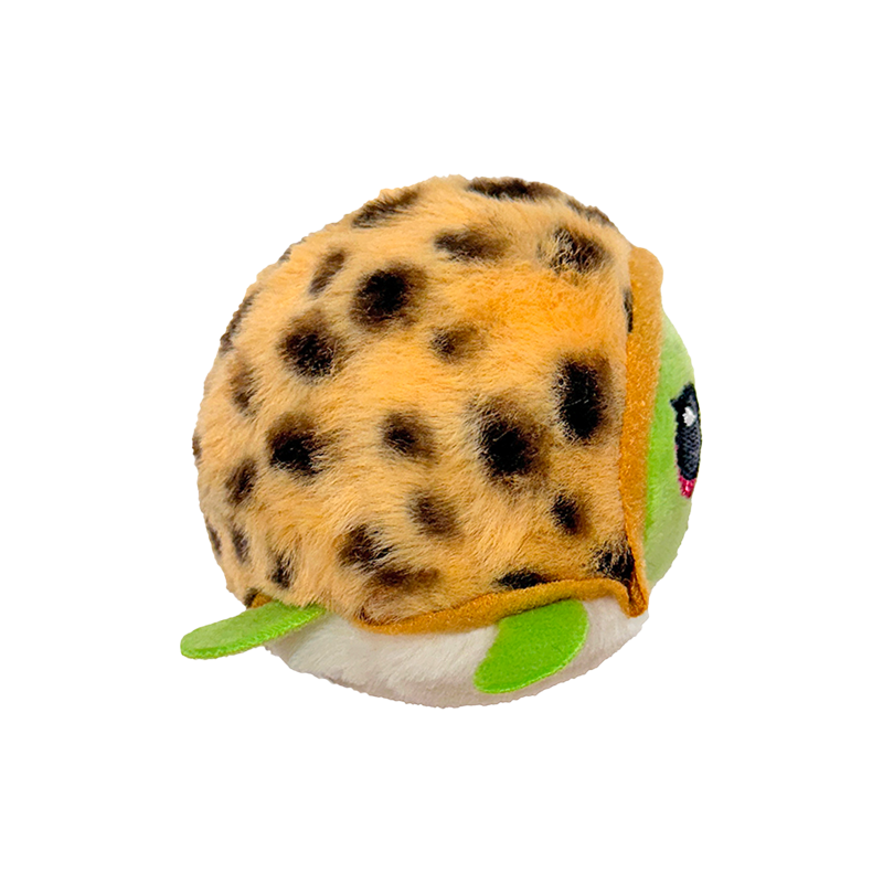 Ty Turtles|Summer - Cruiser