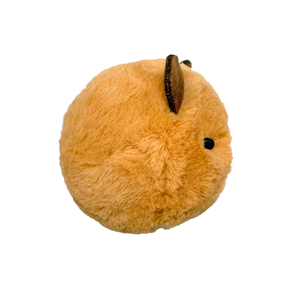 Ty Capybaras - Barry