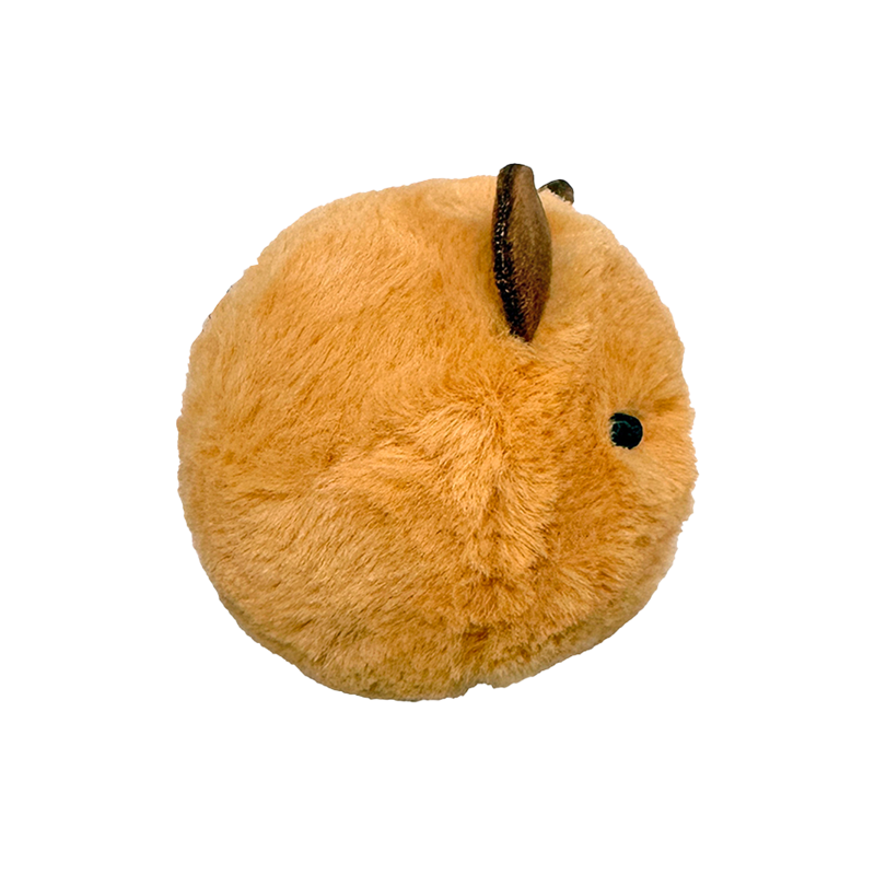Ty Capybaras - Barry