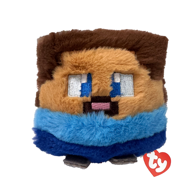 Ty  - Steve