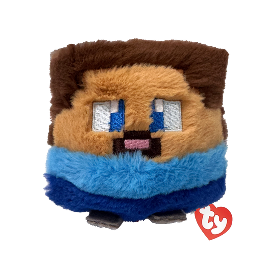 Ty  - Steve