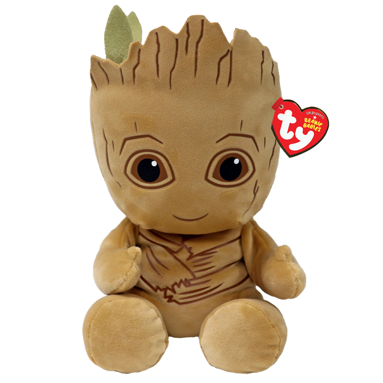 Ty  - Groot
